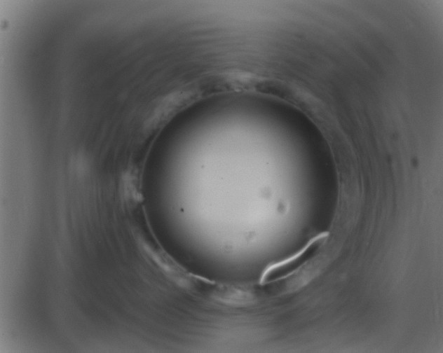 X0000086280768200704051335