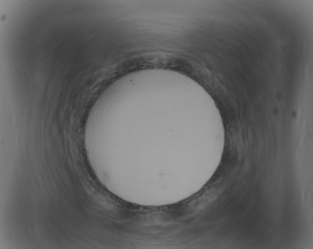 X0000086280769200704051334