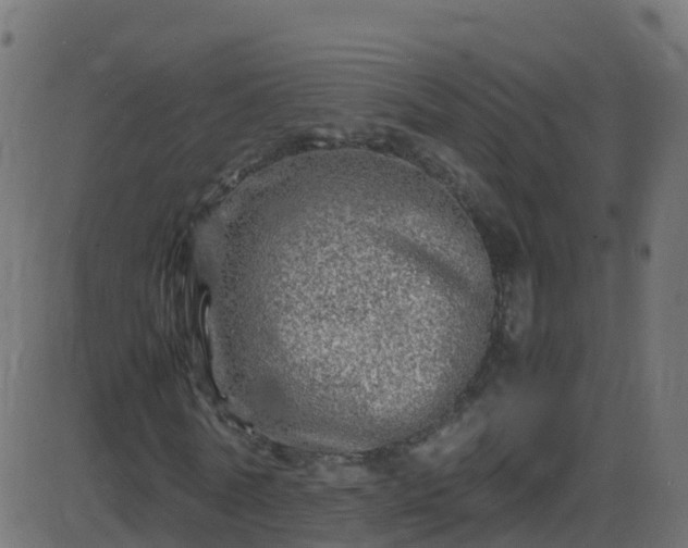 X0000086280770200704051334