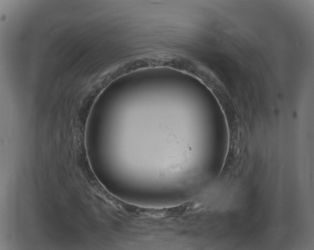 X0000086280773200704051334