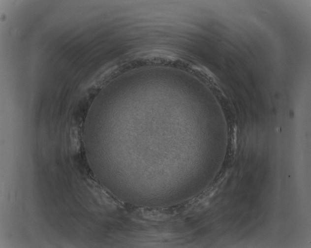 X0000086280774200704051334