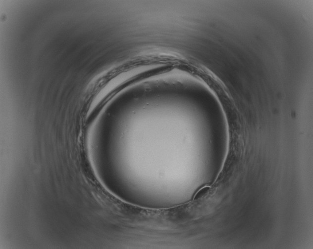 X0000086280775200704051334