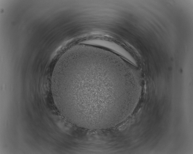 X0000086280776200704051334