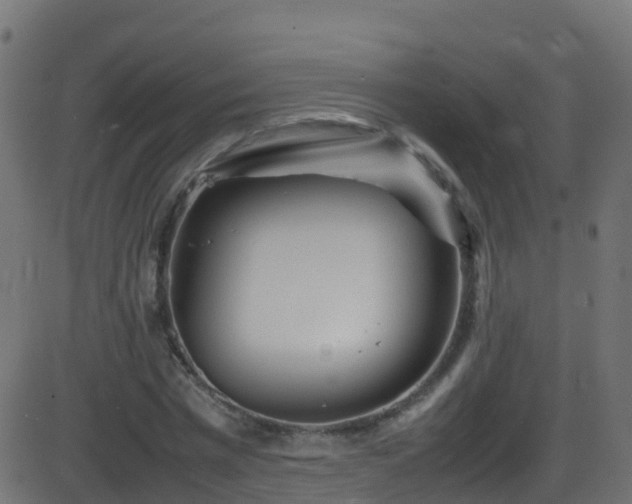 X0000086280777200704051334