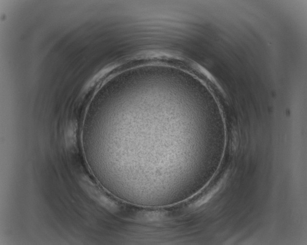 X0000086280778200704051334