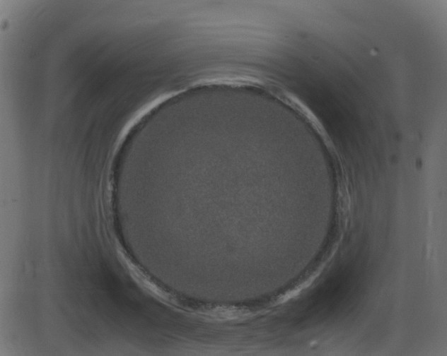 X0000086280779200704051334