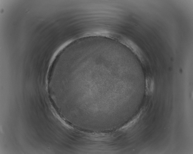 X0000086280780200704051334