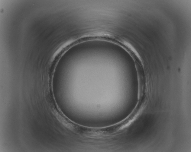 X0000086280781200704051334