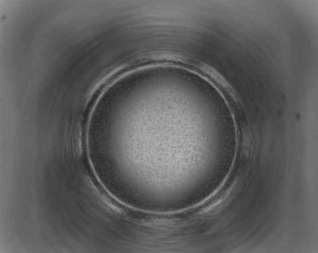 X0000086280782200704051334