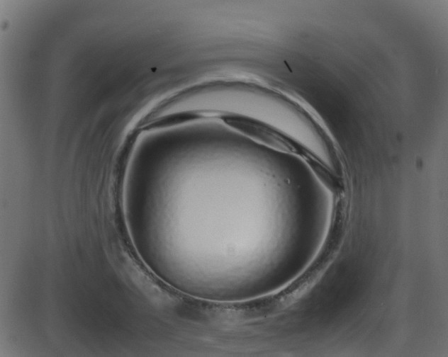 X0000086280783200704051334