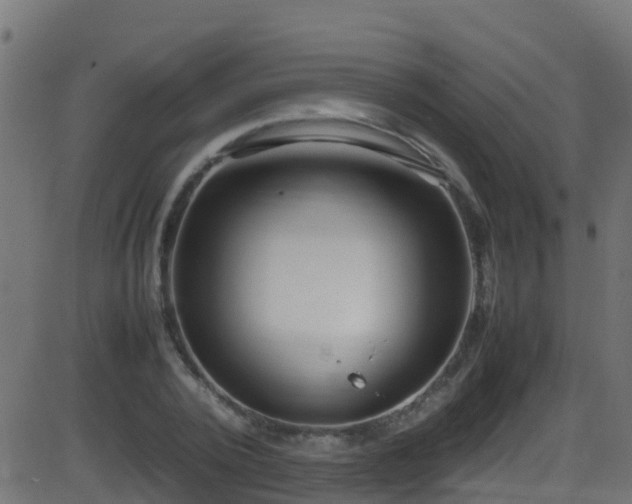 X0000086280784200704051334