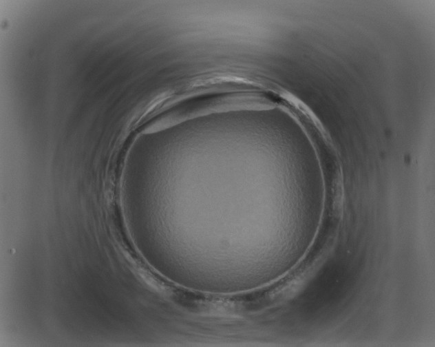 X0000086280785200704051334