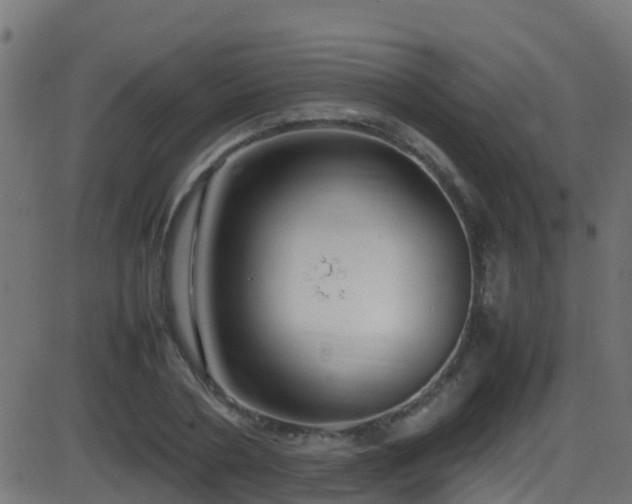 X0000086280786200704051334