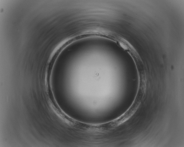 X0000086280788200704051334