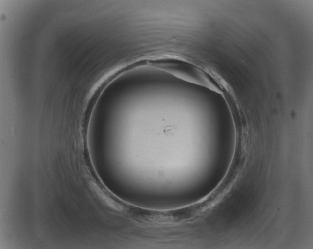 X0000086280789200704051334