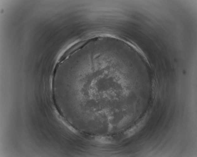 X0000086280790200704051334