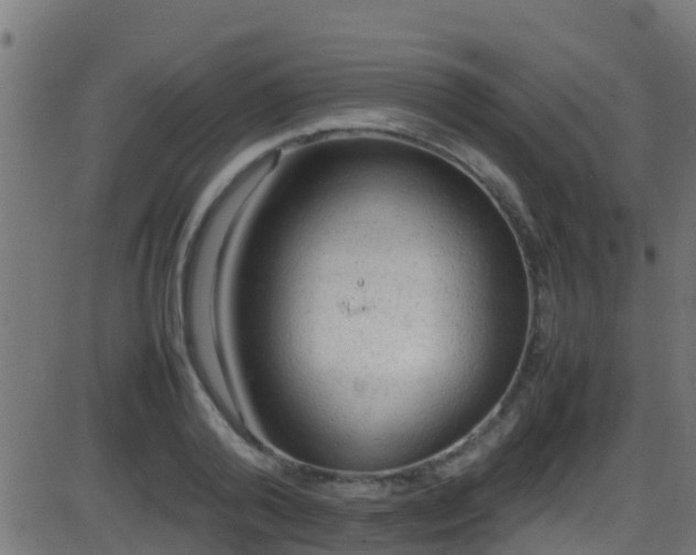 X0000086280792200704051334