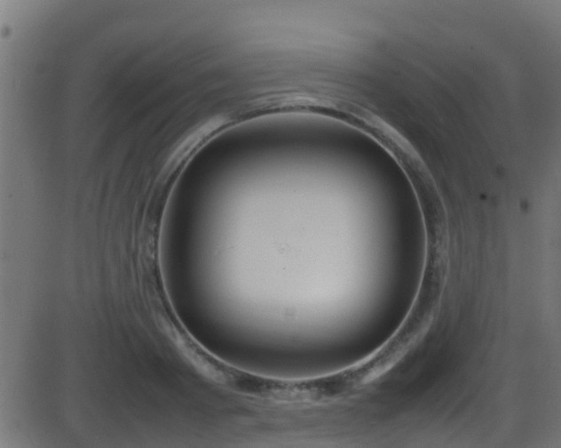 X0000086280793200704051334