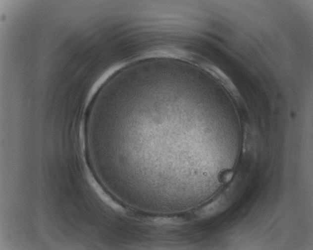 X0000086280796200704051333