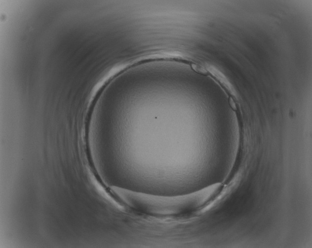 X0000086280797200704051333