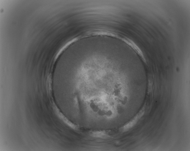 X0000086280798200704051333