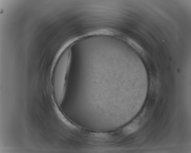 X0000086280800200704051333