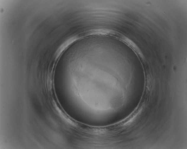 X0000086280802200704051333