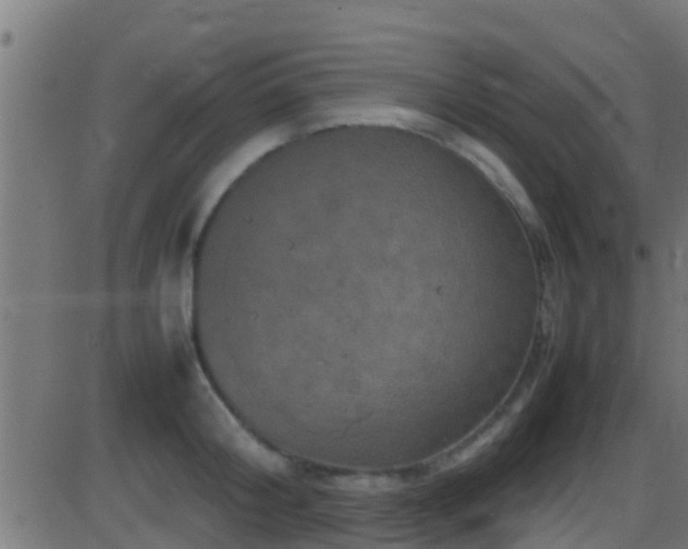 X0000086280804200704051333