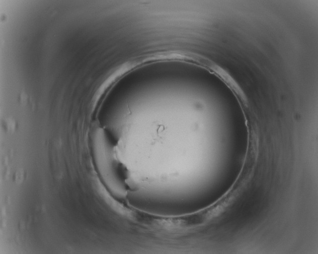 X0000086280805200704051333