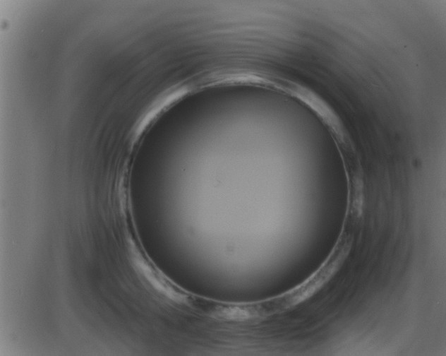 X0000086280806200704051333