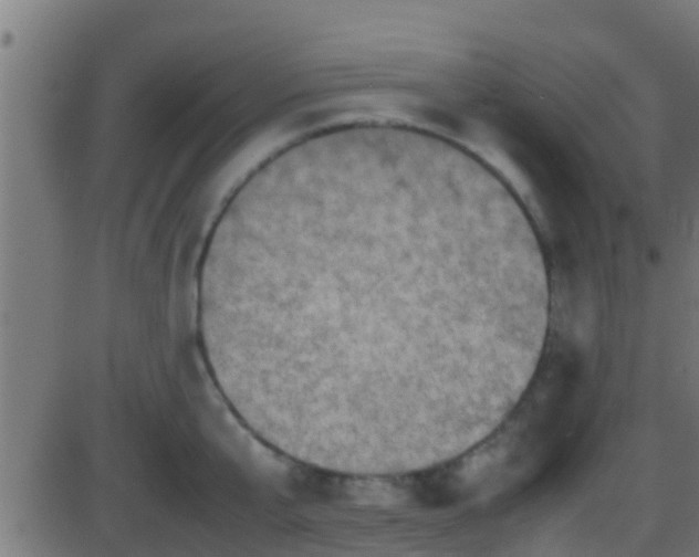 X0000086280807200704051333