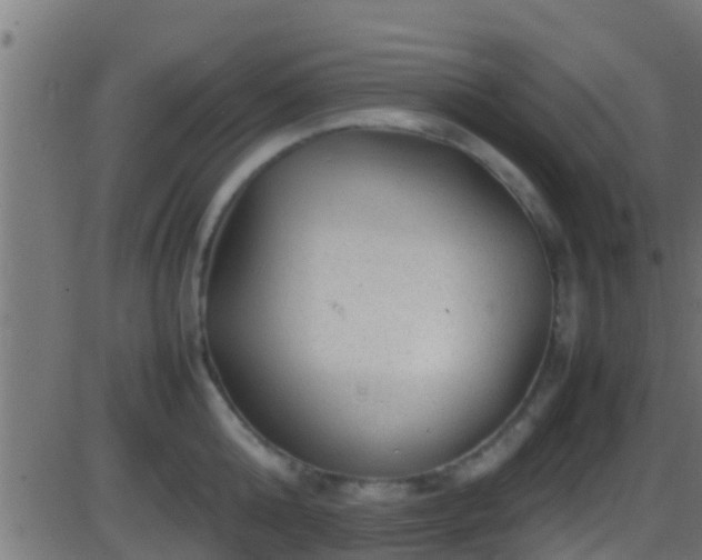 X0000086280808200704051333