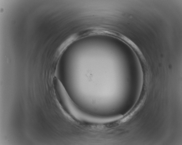 X0000086280809200704051333