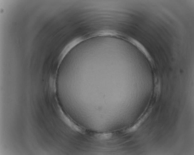 X0000086280810200704051333