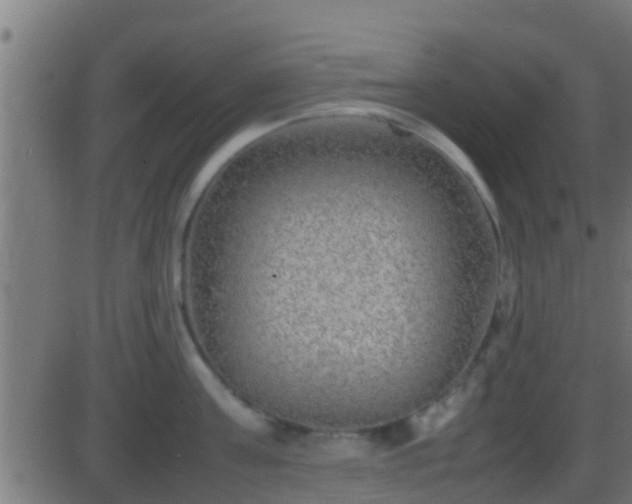 X0000086280811200704051333