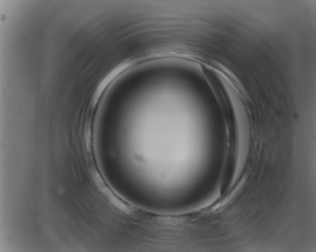 X0000086280812200704051333