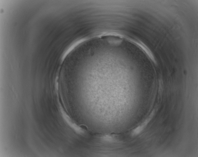 X0000086280814200704051333