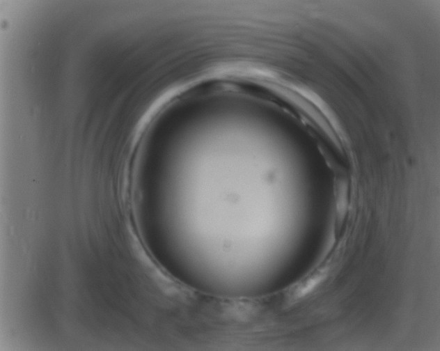 X0000086280815200704051333