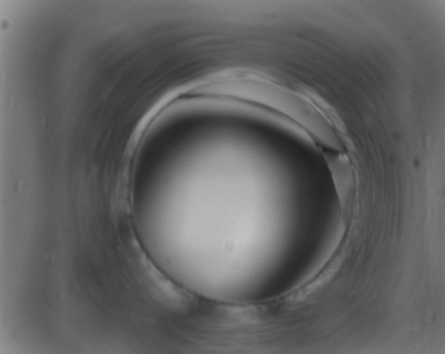 X0000086280816200704051333