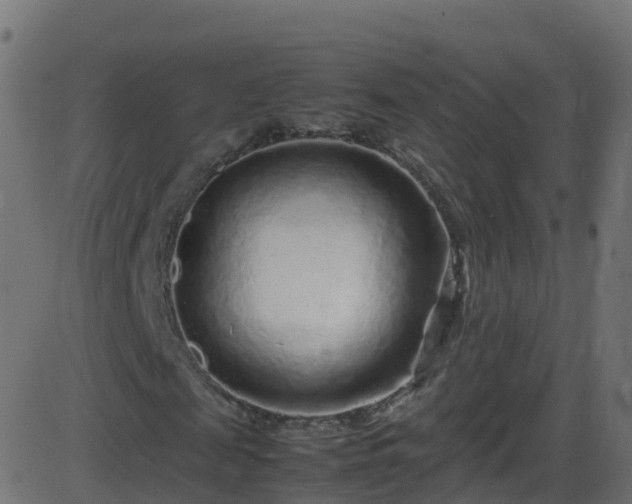 X0000086280817200704051332