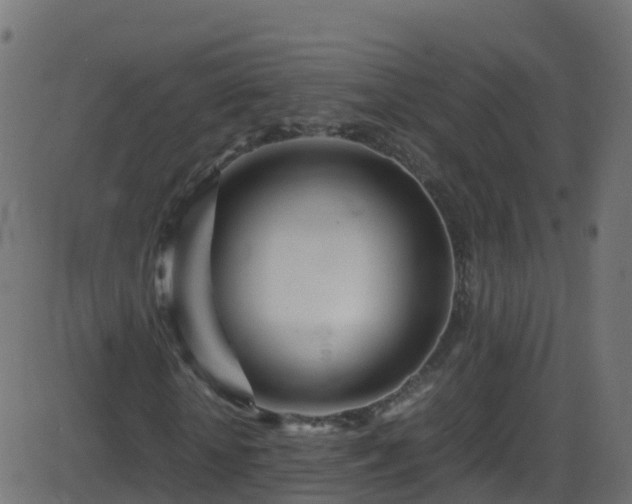 X0000086280818200704051332