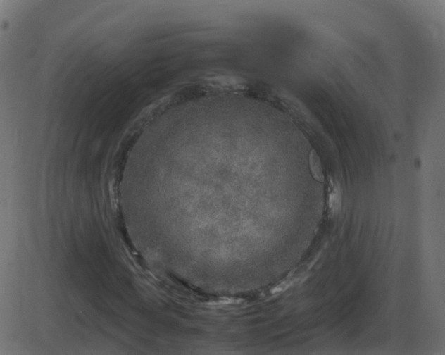 X0000086280819200704051332