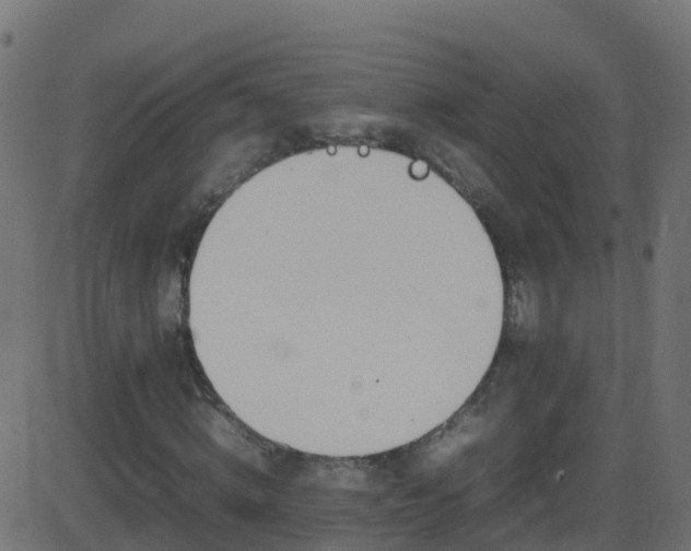 X0000086280820200704051332