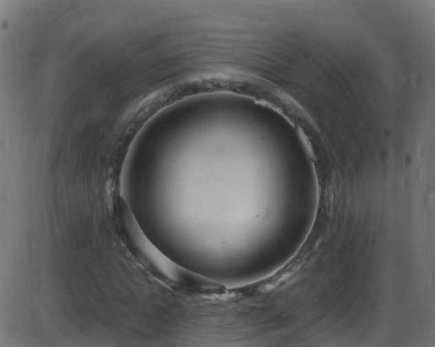 X0000086280822200704051332