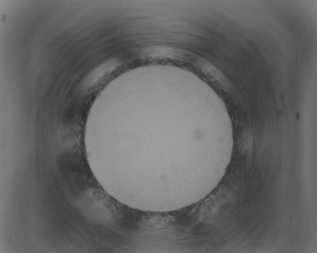 X0000086280824200704051332