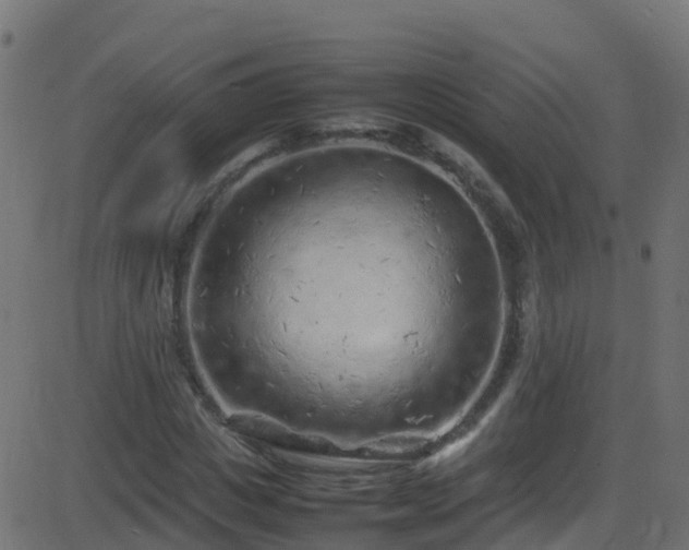 X0000086280825200704051332