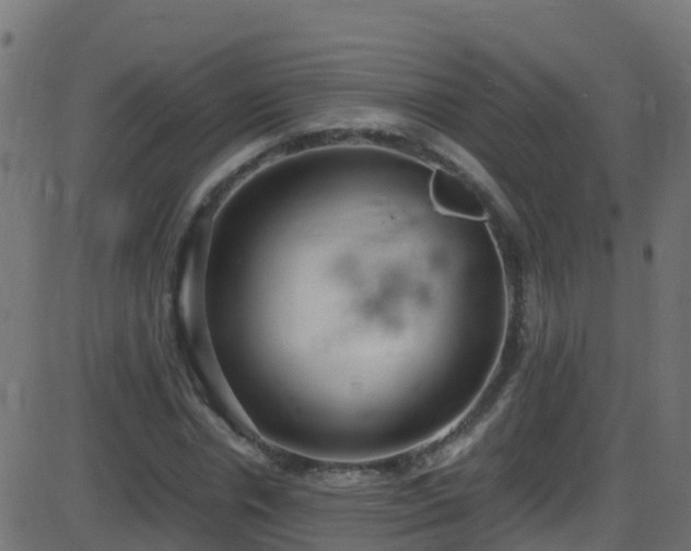 X0000086280826200704051333