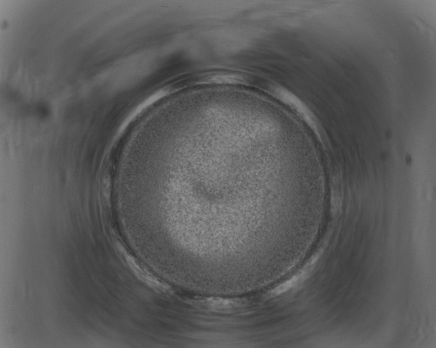 X0000086280827200704051333