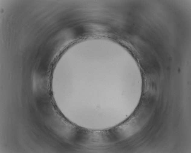 X0000086280828200704051333