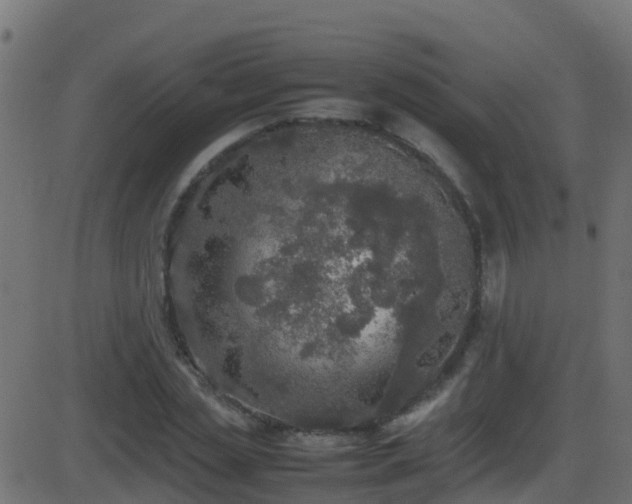 X0000086280829200704051333